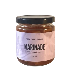 Marinade d'oignons épicés